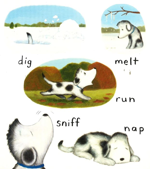 Rocket's Mighty Words (Oversized Board Book)