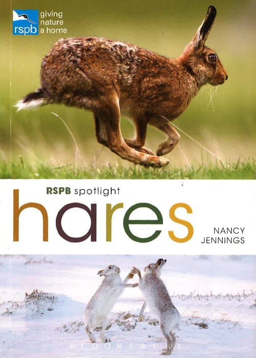 Rspb Spotlight Hares