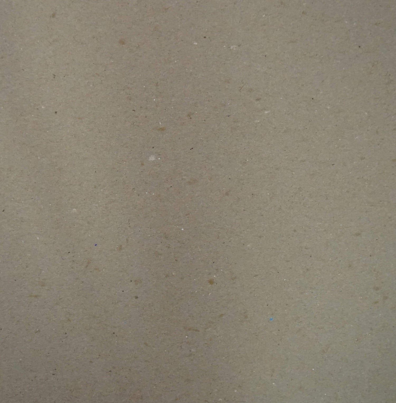 Scrapbook Paper: Green Palms-Varnish