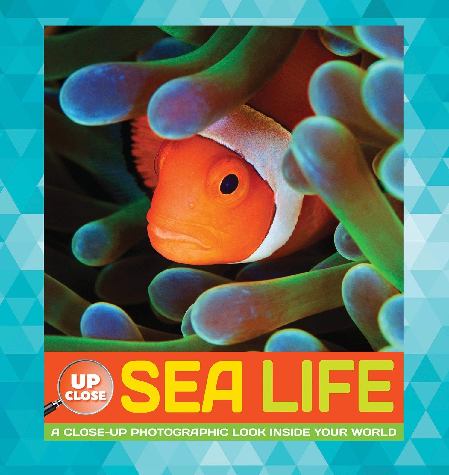 Sea Life: A Close-Up Photographic Look Inside Your World