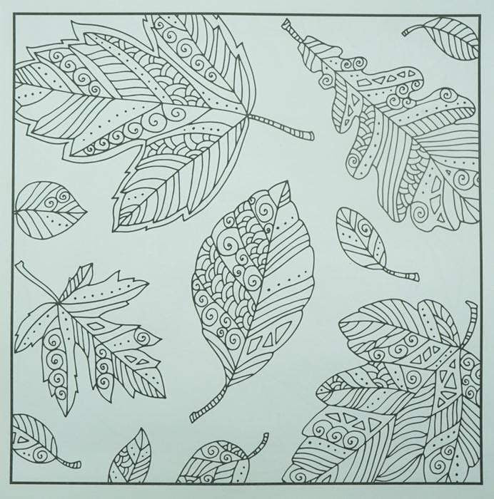 Seasons Adult Coloring Bo