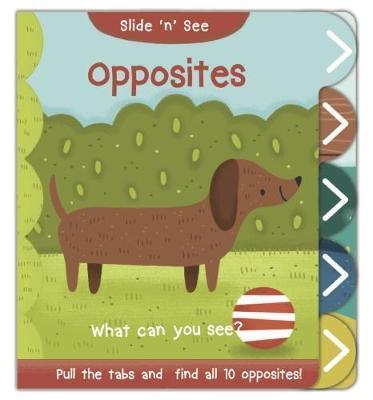 SLIDE N SEE - OPPOSITES