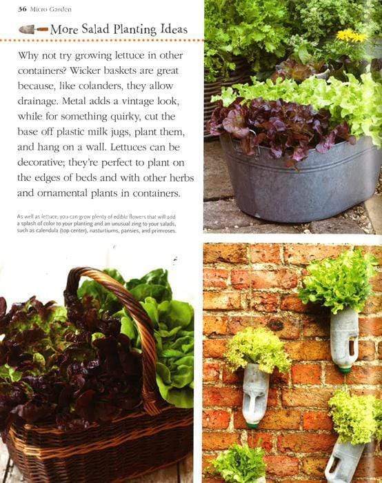 Small Space Garden Ideas BookXcess