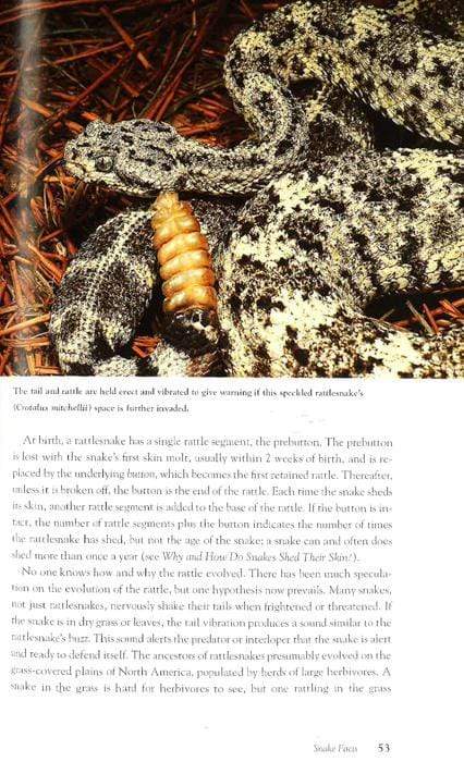 Snakes : Smithsonian Answ