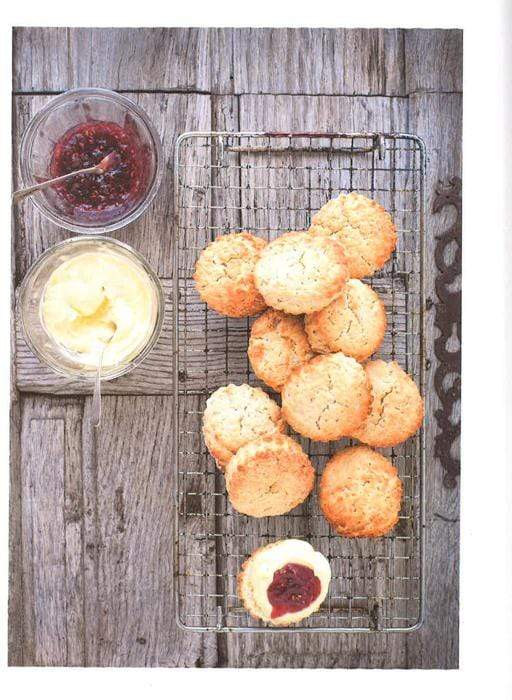 South Of France Cookbook