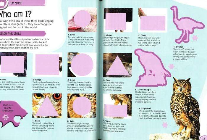 Sticker Activity Deadly Animals