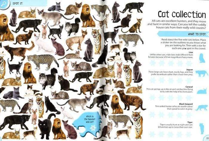 Sticker Activity Deadly Animals