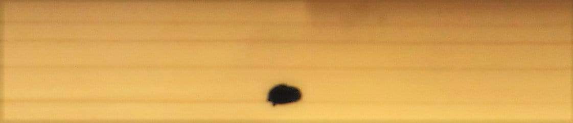 Stoned: Jewelry, Obsession, and How Desire Shapes the World (HB)