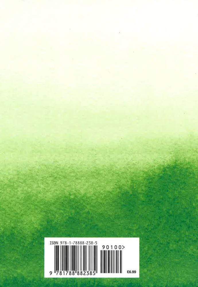 Sudoku (Linen-Look Puzzles) -- Paperback / Softback [Paperback]