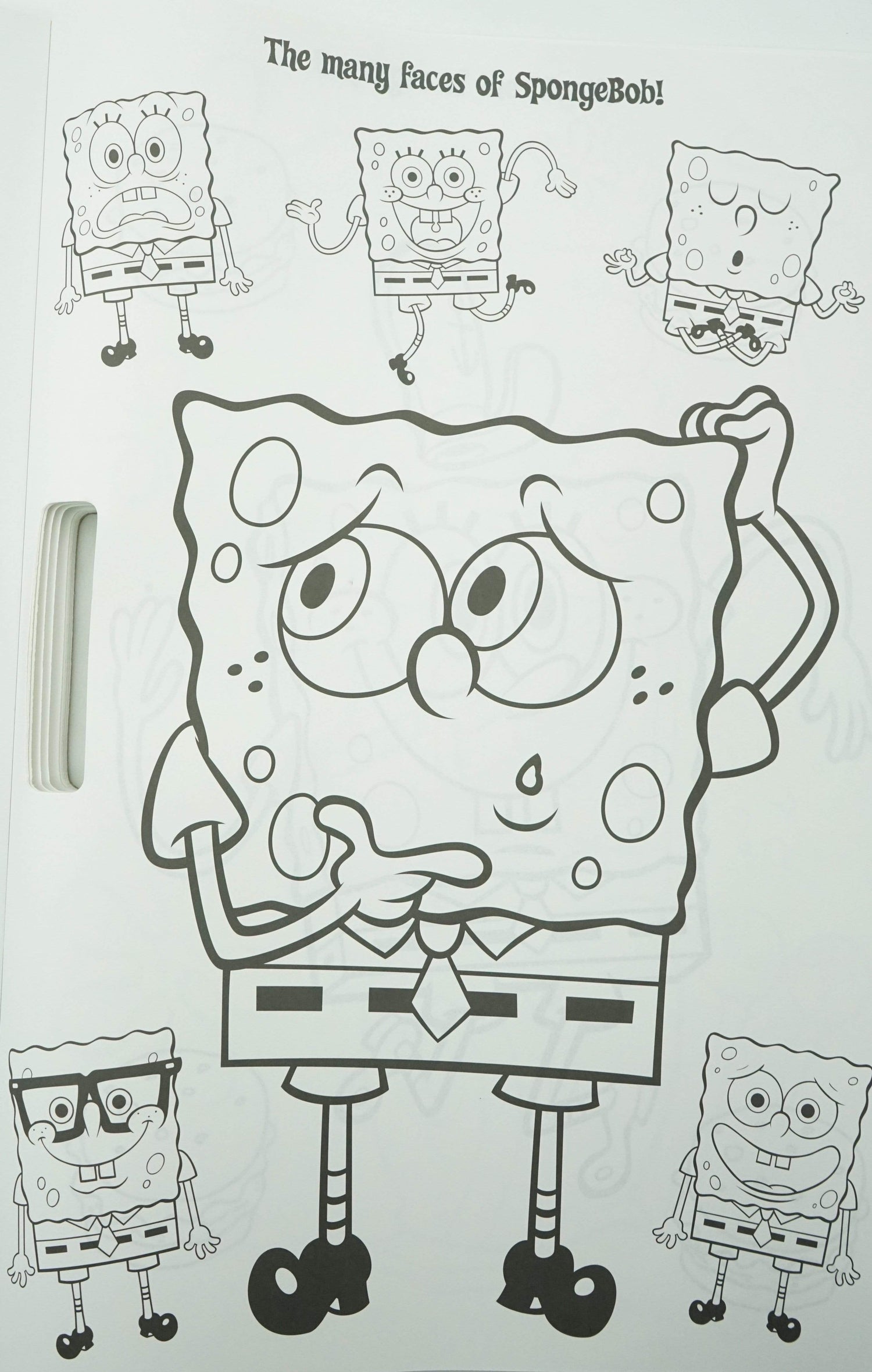 SUPER SPONGE-TASTIC! (WITH 100 STICKERS)