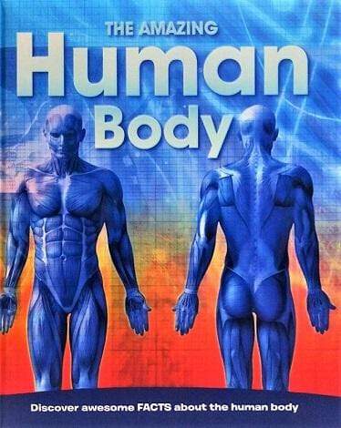 The Amazing Human Body (Hb)
