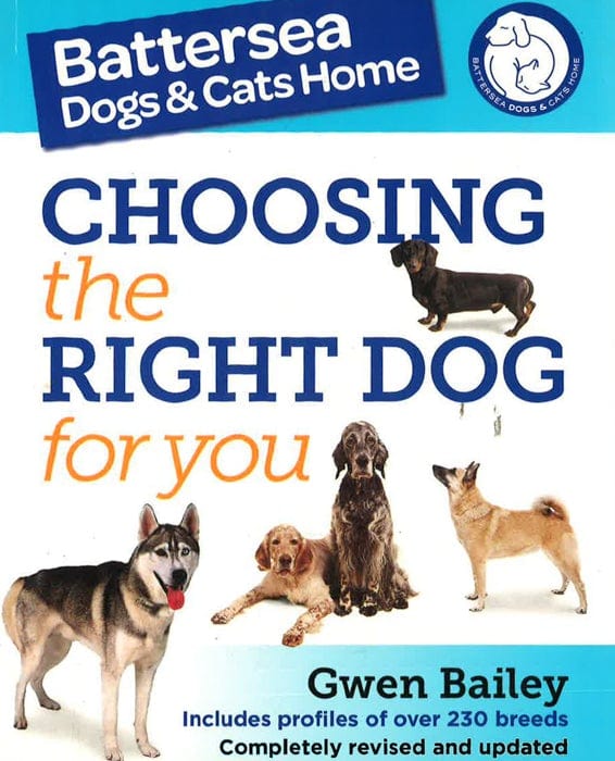 The Battersea Dogs And Cats Home: Choosing The Right Dog For You