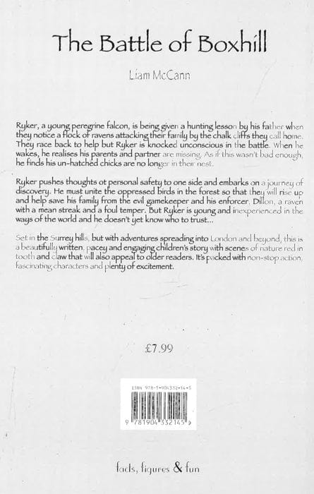 The Battle Of Boxhill