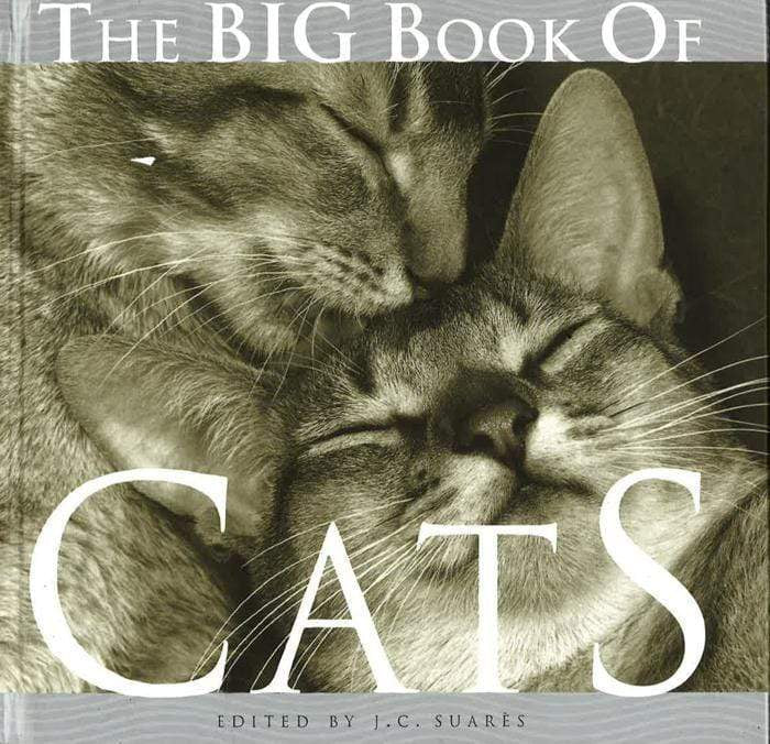 The Big Book Of Cat