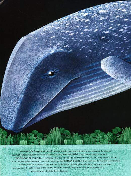 The Big Book Of Giant Animals