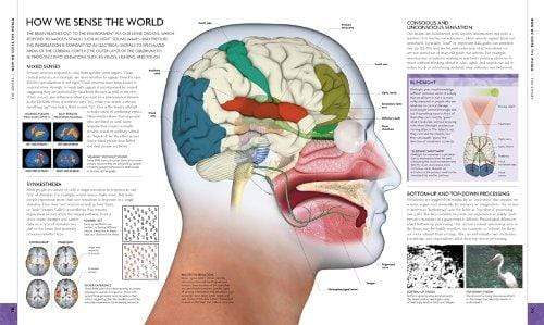 The Brain Book