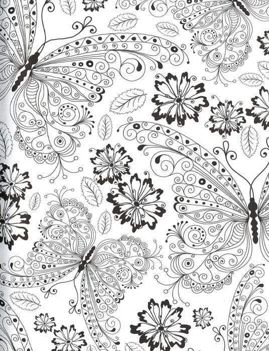 The Butterflies Colouring Book