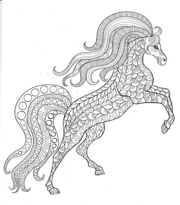 The Calm & Creative Coloring Book