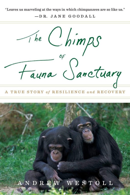 The Chimps Of Fauna Sanctuary: A True Story Of Resilience And Recovery