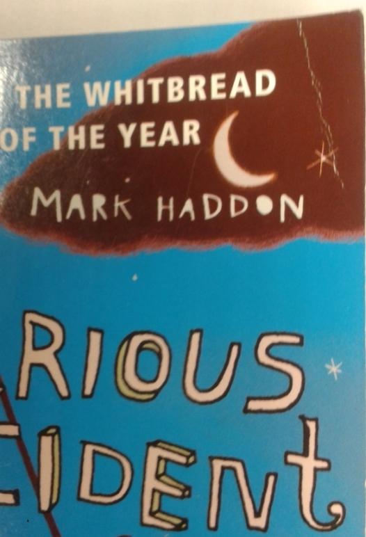 The Curious Incident of the Dog In the Night-Time