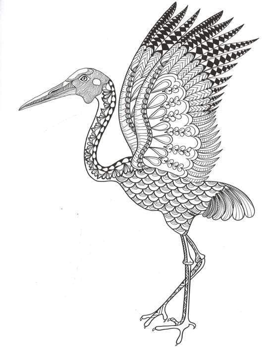 The Exotic Birds Colouring Book