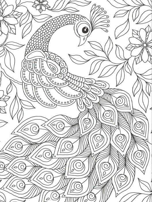 The Exotic Birds Colouring Book