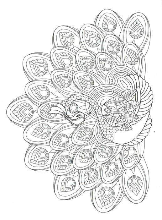 The Exotic Birds Colouring Book