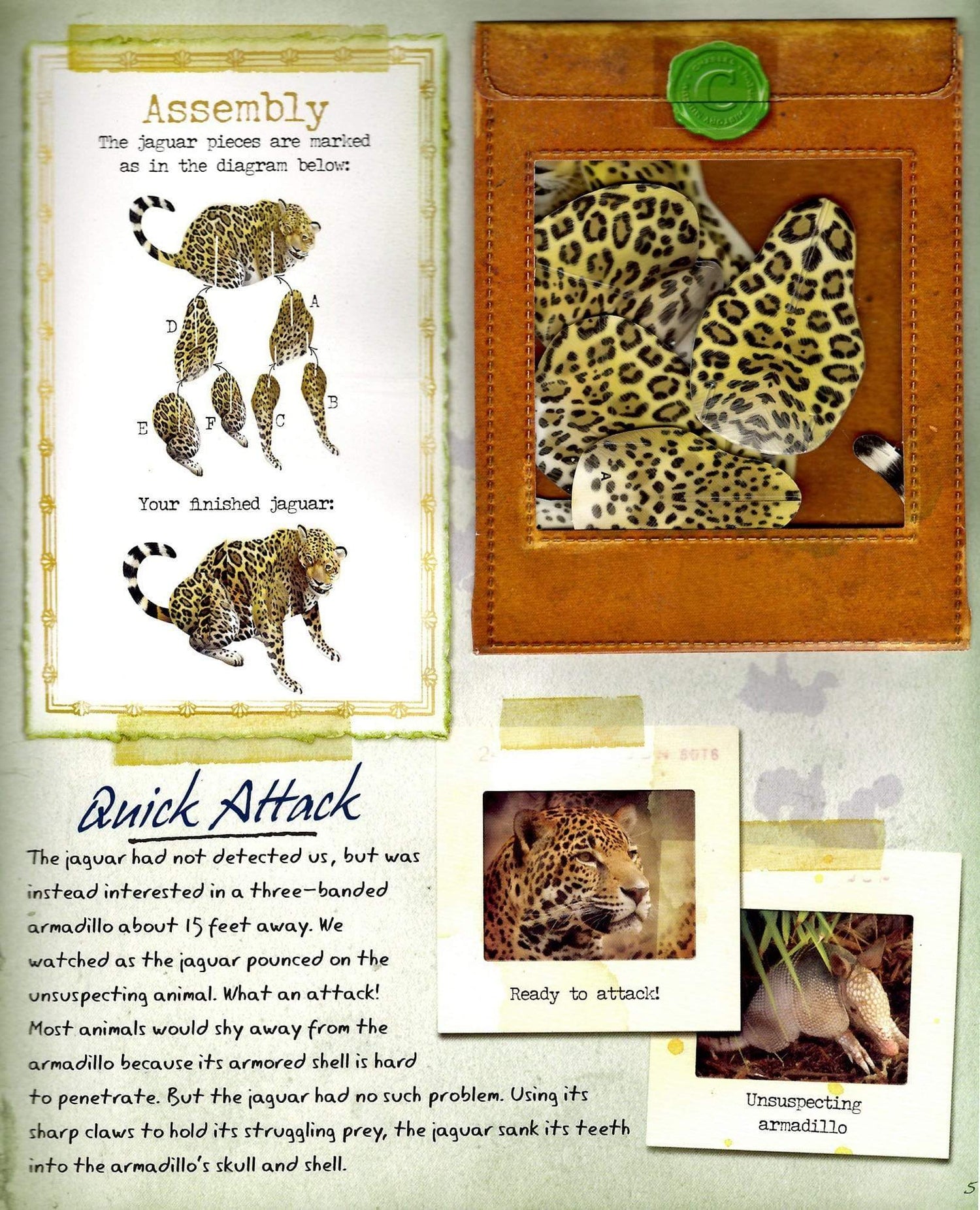 The Field Guide to Rainforest Animals: Explore the Amazon Jungle