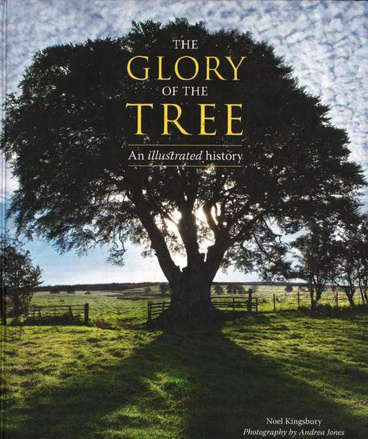 The Glory Of The Tree