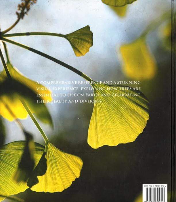 The Glory Of The Tree