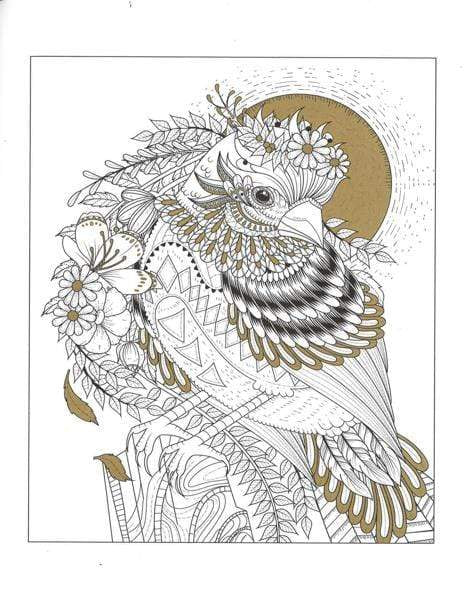 The Gold Coloring Book