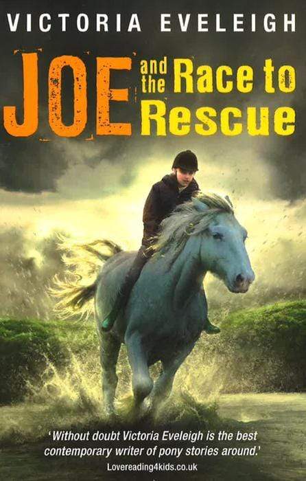 The Horseshoe Trilogy: Joe and the Race to Rescue: Book 3
