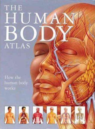 The Human Body Atlas