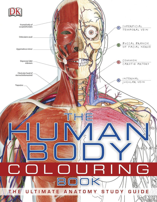 The Human Body Coloring Book: The Ultimate Anatomy Study Guide