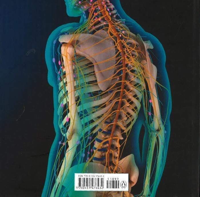 The Human Body (Hb)
