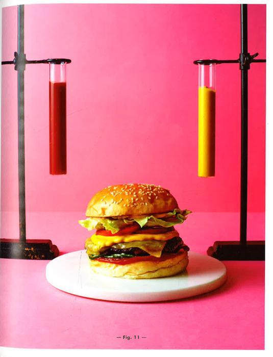 The Huxtaburger Book : The Art And Science Of The Perfect Burger