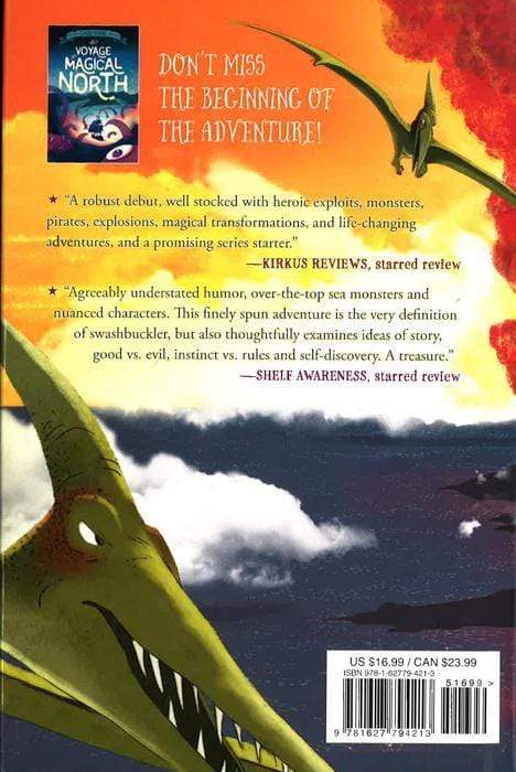 The Journey To Dragon Island (The Accidental Pirates, Bk. 2)
