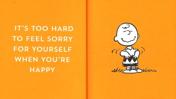 The Peanuts Guide To Happiness