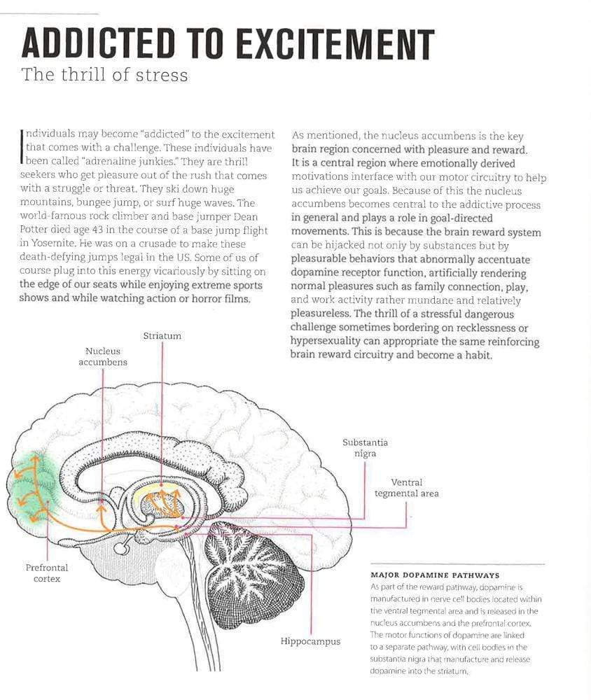 The Science Of Stress: What It Is, Why We Feel It, How It Affects Us