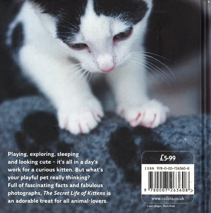The Secret Life Of Kittens