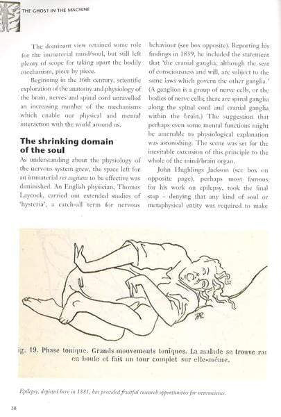 The Story Of Neuroscience