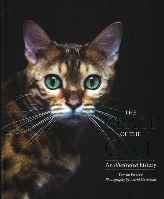 The The Grace of the Cat