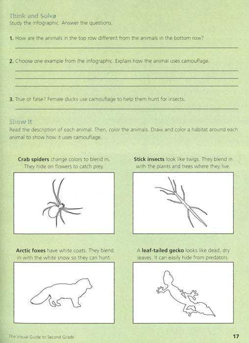 The Visual Guide To Second Grade