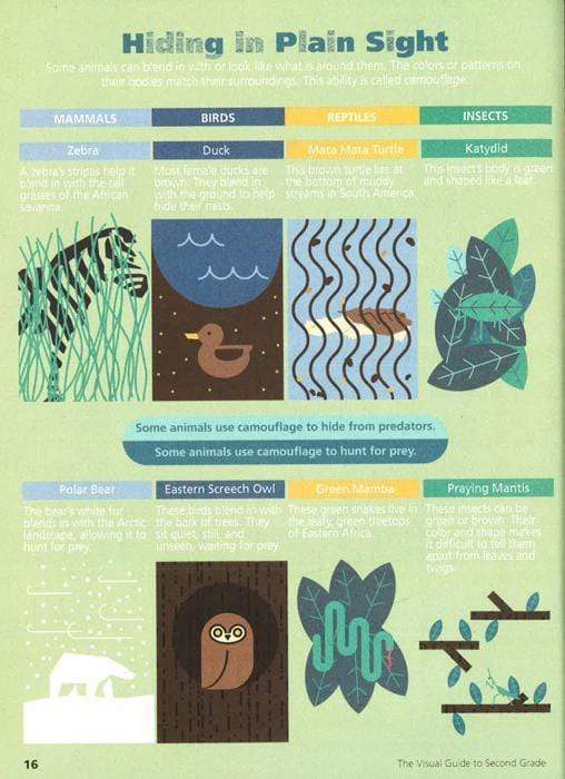 The Visual Guide To Second Grade