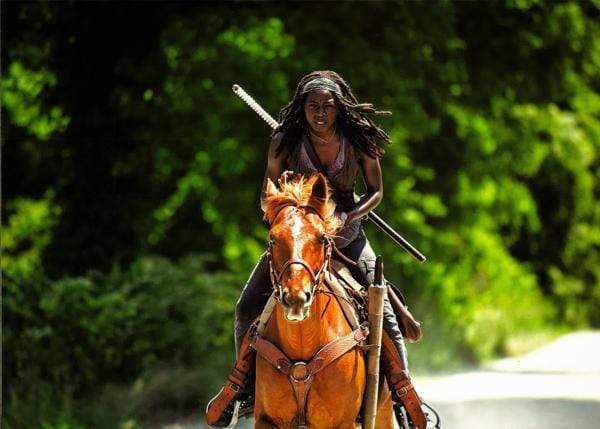 The Walking Dead : Volume 2