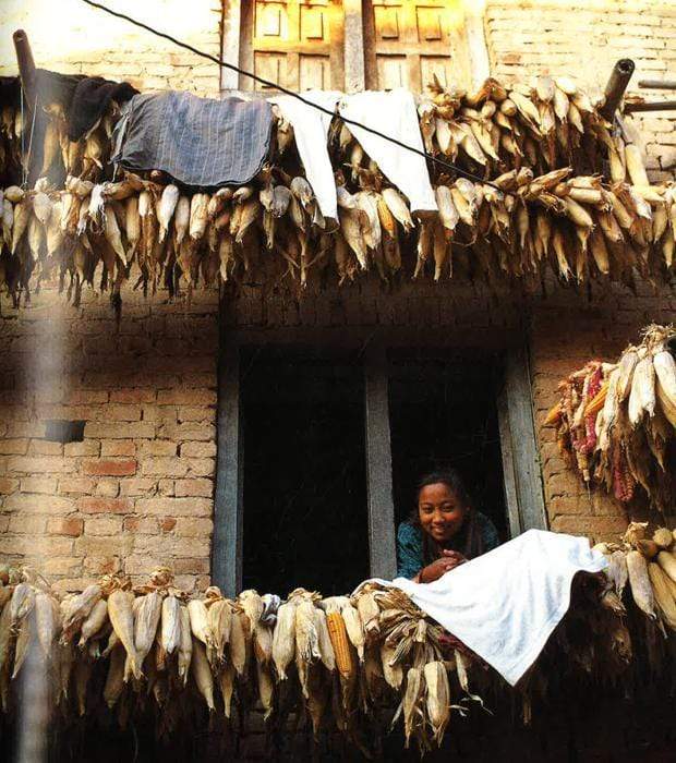 The Way We Live (Hb)