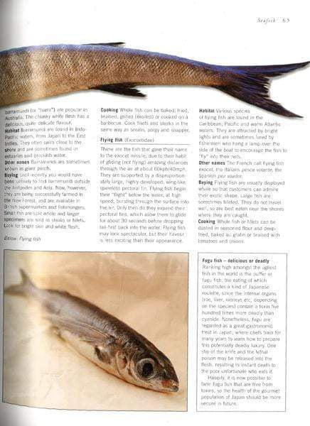 The World Encyclopedia Of Fish And Shellfish