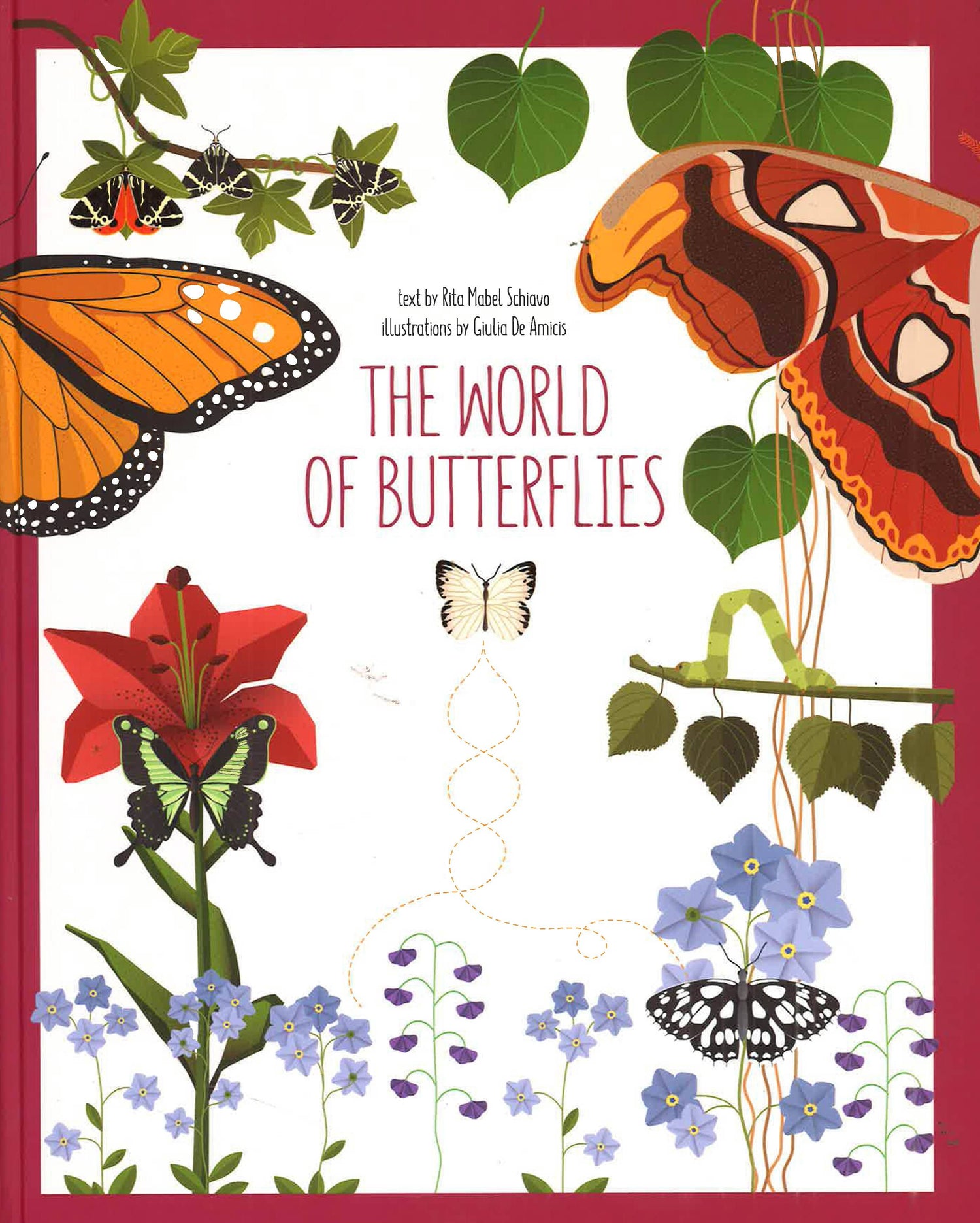 The World Of Butterflies