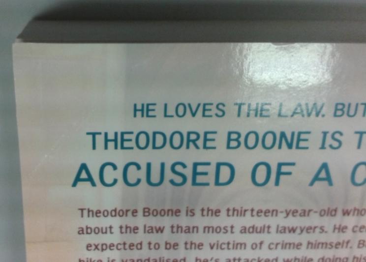 Theodore Boone : The Accused