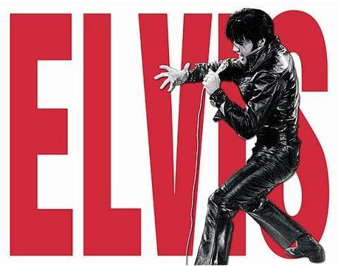 Tin Sign: Elvis Leather (40.50 CM X 31.50 CM)